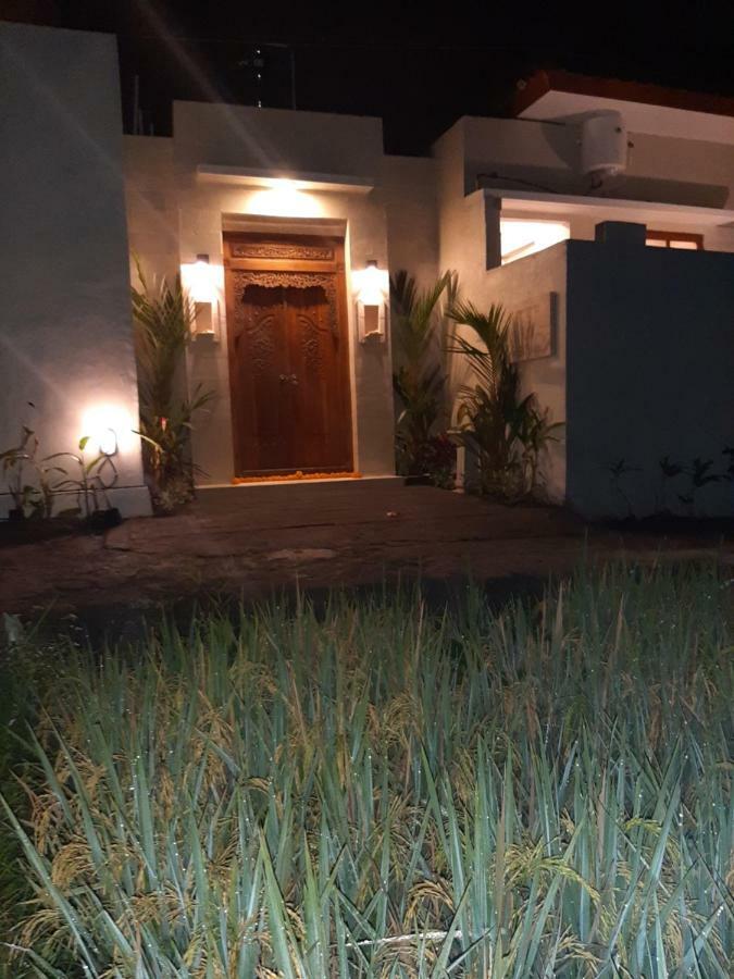 The Satya Villa Убуд Экстерьер фото